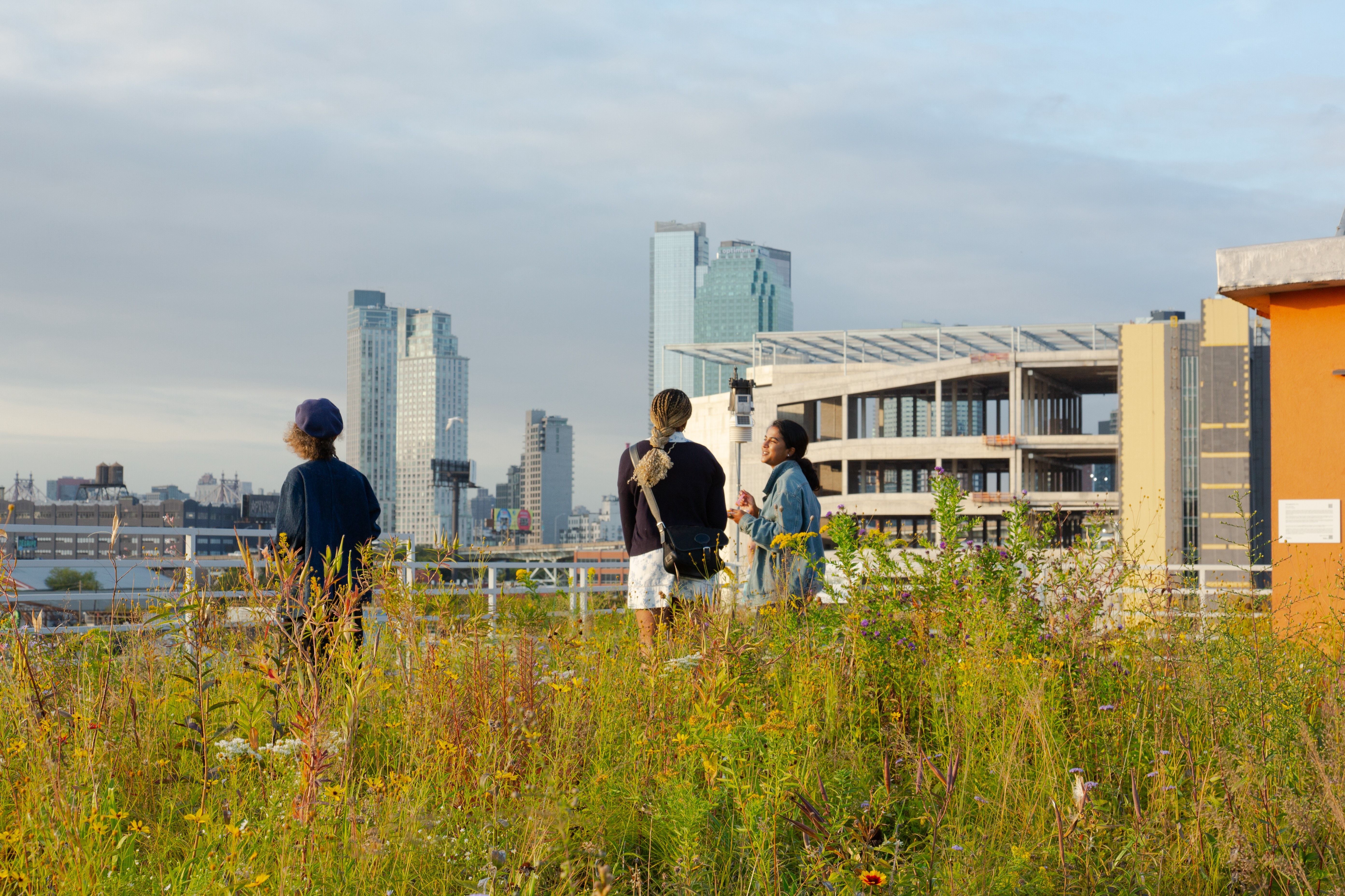 People in conversation surrounded by wildflowers on a green roof, with New York City skyline in the background.