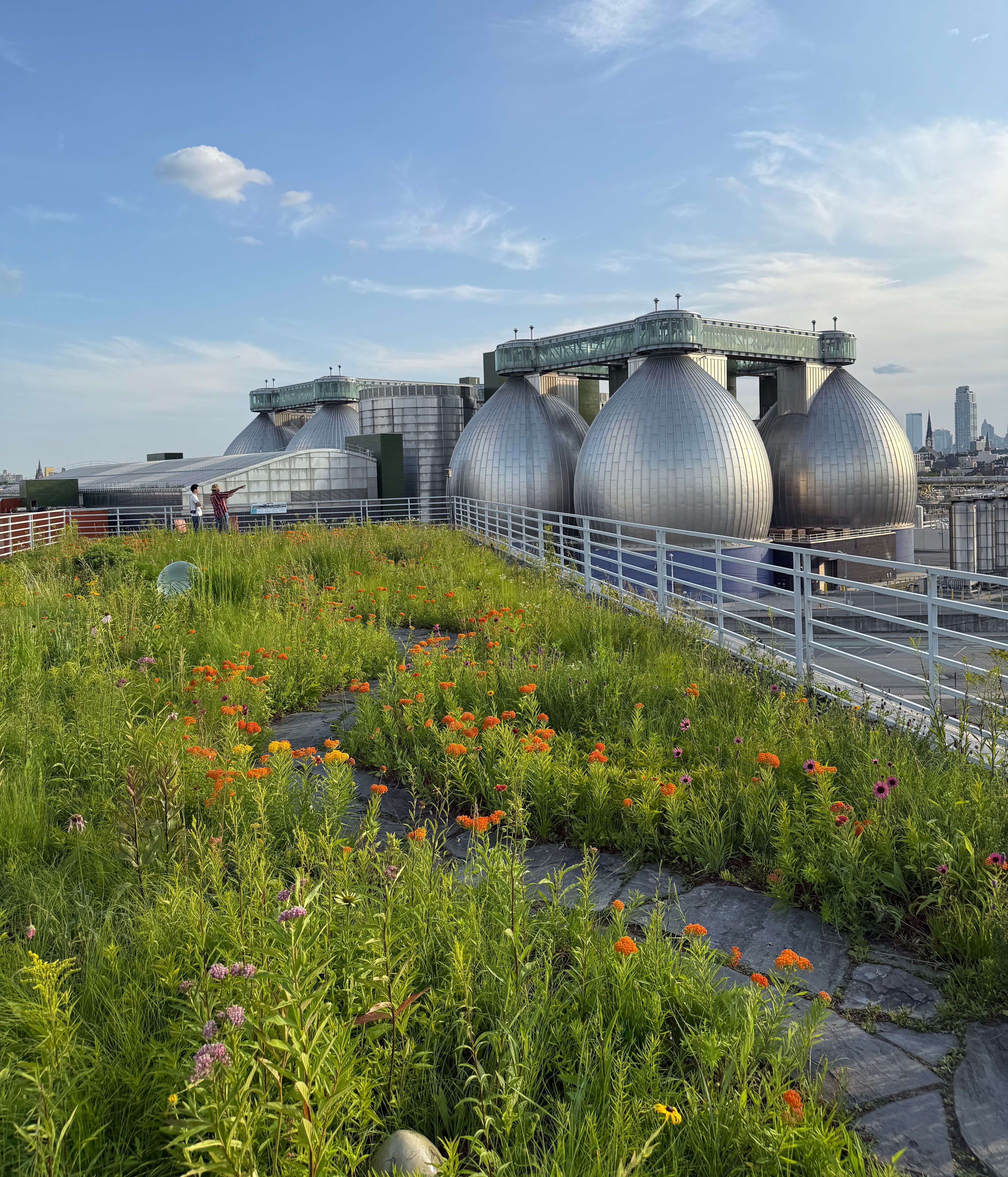 A green roof of wildflowers, with two people in the distance overlooking a neighborhing futuristic wastewater treatment center
